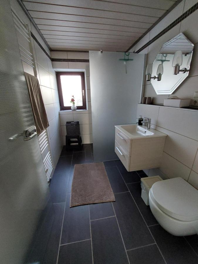 Ferienwohnung Zuckerberg Sarrebourg Extérieur photo