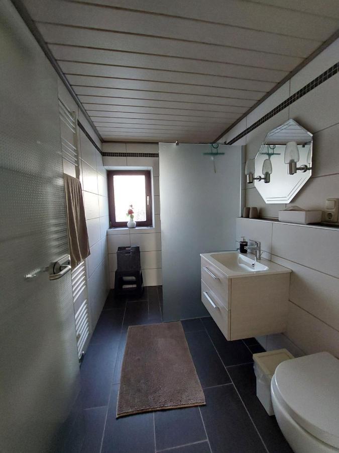 Ferienwohnung Zuckerberg Sarrebourg Extérieur photo
